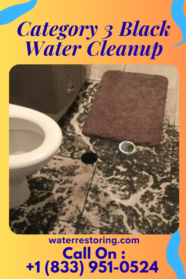 Category 3 Black Water Cleanup in Heritage Lake, IN