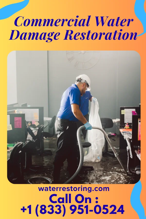 Commercial Water Damage Restoration in Heritage Lake, IN
