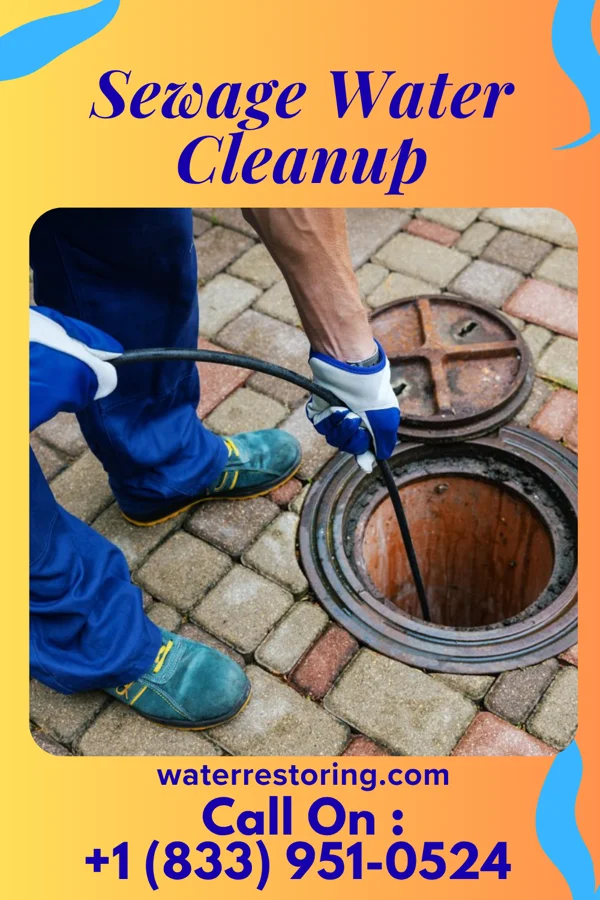 Sewage Water Cleanup in Heritage Lake, IN